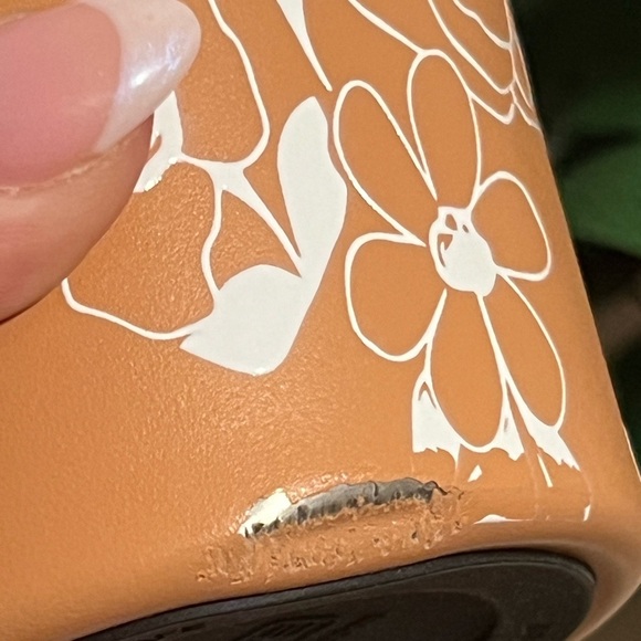 BRUMATE X HOLLEY GABRIELLE • SANDSTONE BLOOM ERA - Picture 8 of 12